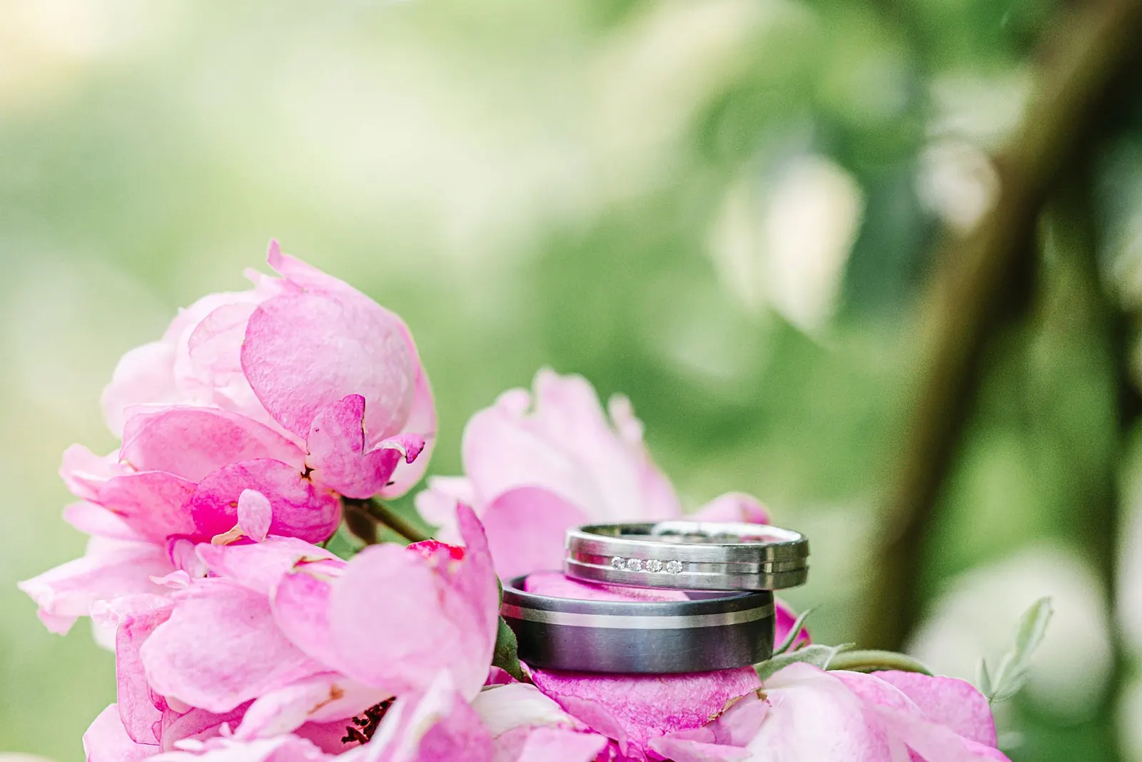 Eheringe in einer rosa Pfingstrose